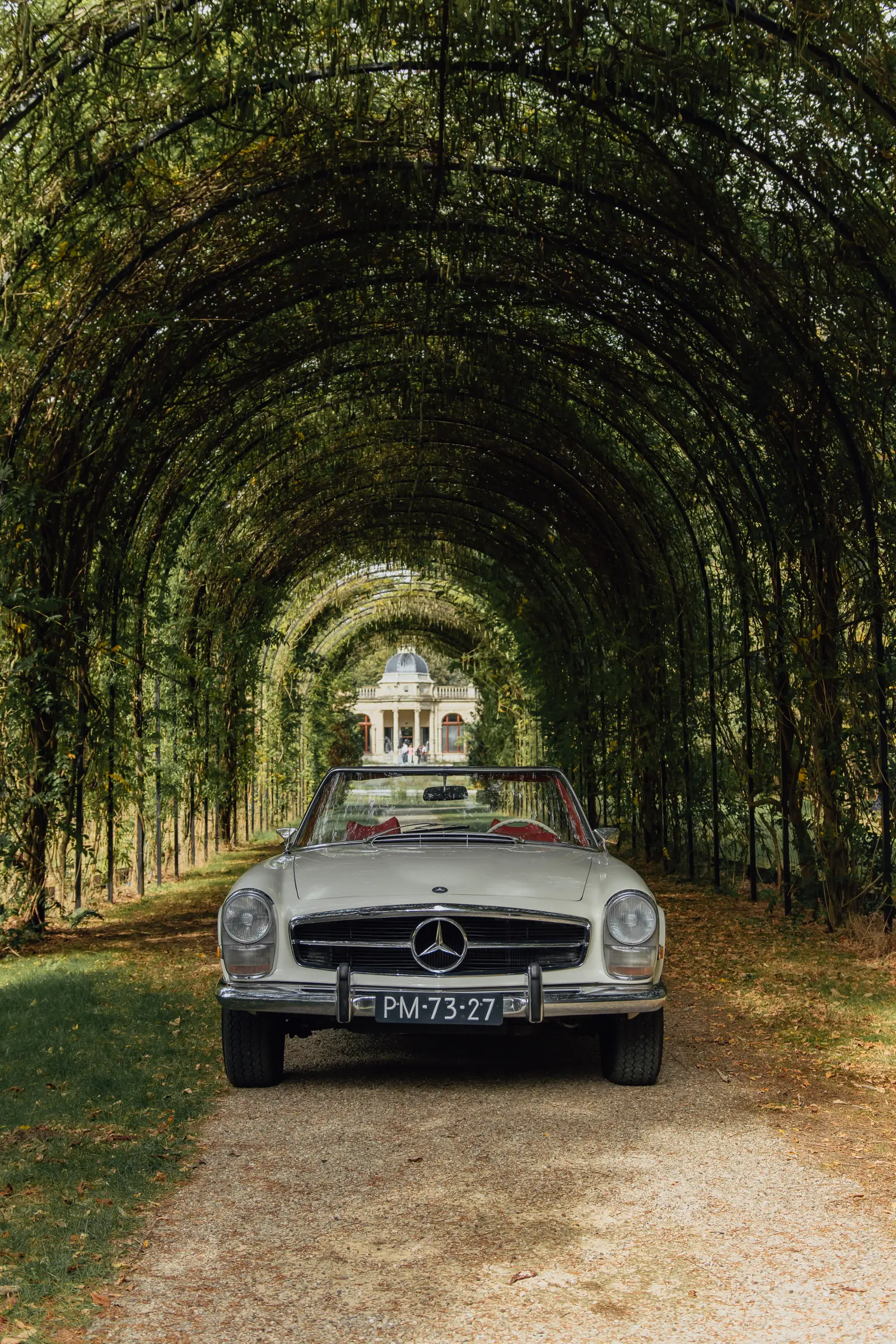 Oldtimer in een lange groene berceau